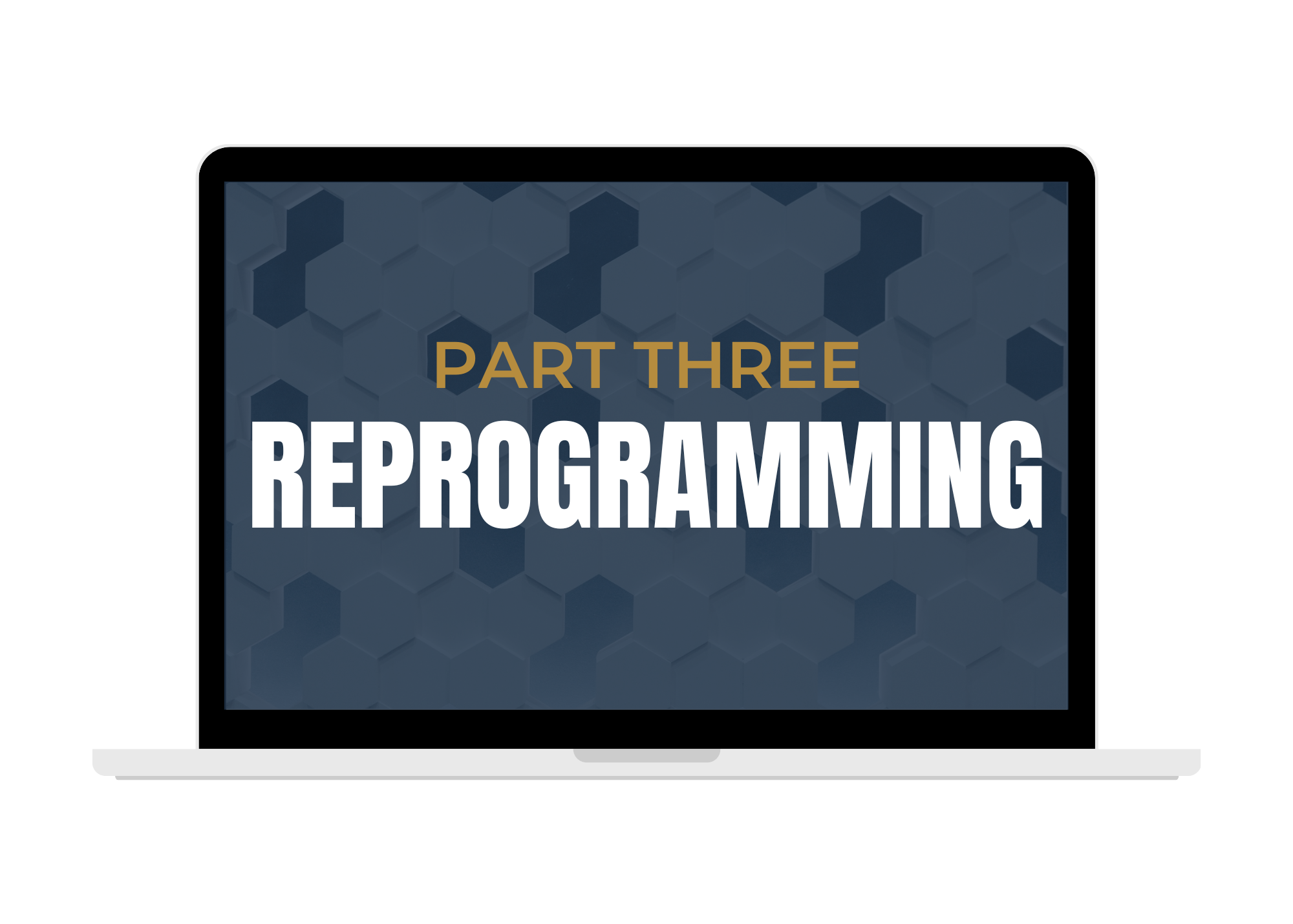 Reprogramming v3